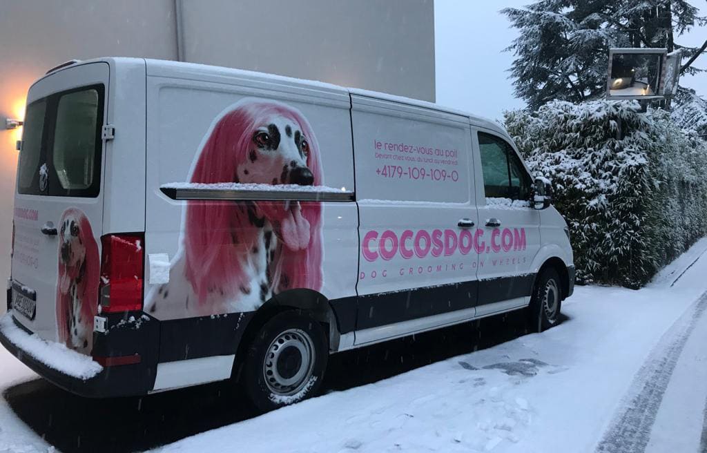 toilettage-chien-geneve-cocosdog-camion-neige